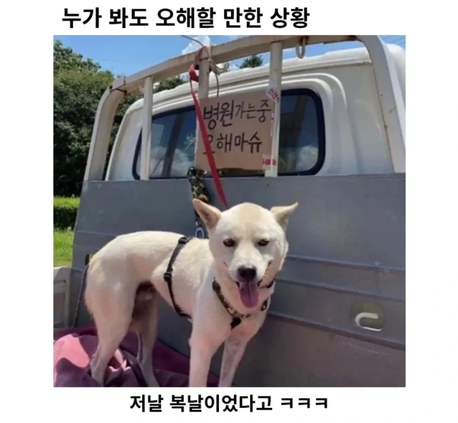 병원가서 치료받으면 장땡 아프면_1.webp