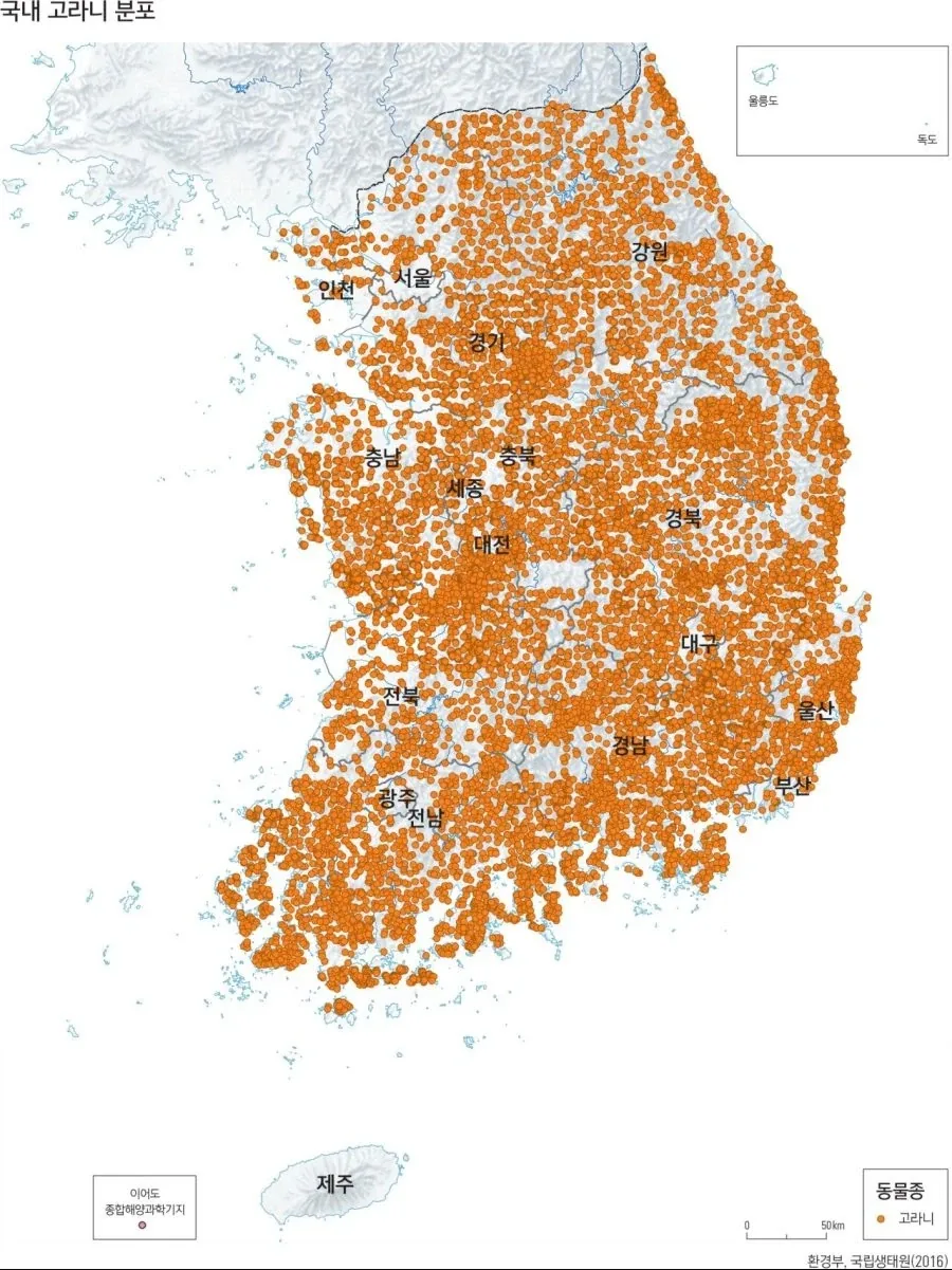 한국에서만 한해 20만마리 사라지는 세계 멸종위기종 동물_2.webp