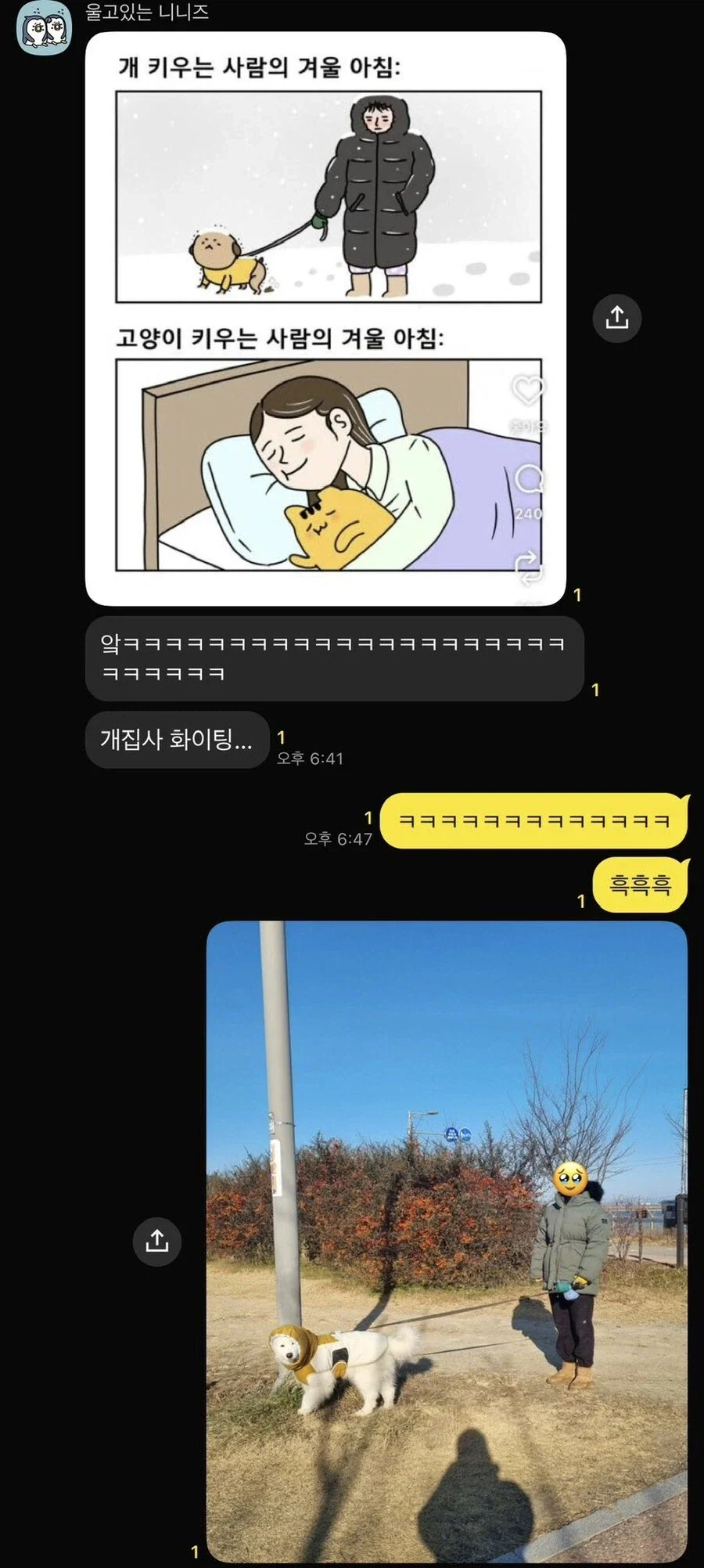 냥집사가 댕집사보다 좋은 점_1.webp