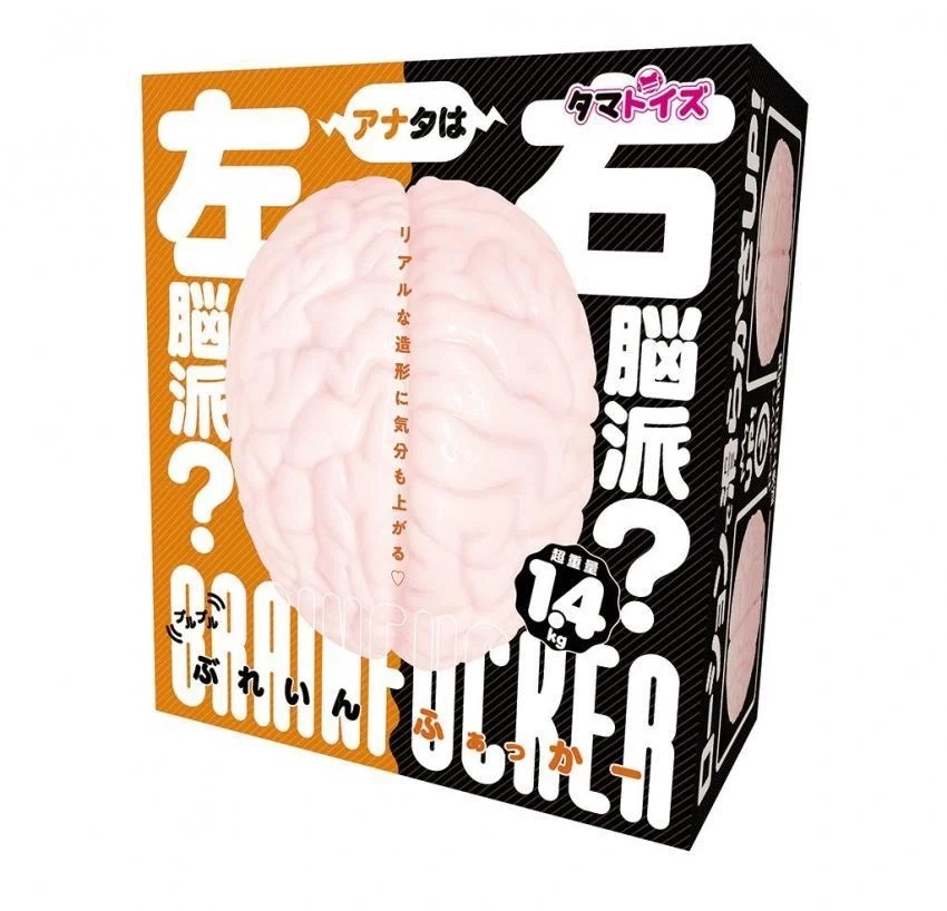 당신은 좌뇌파? 우뇌파?_1.webp