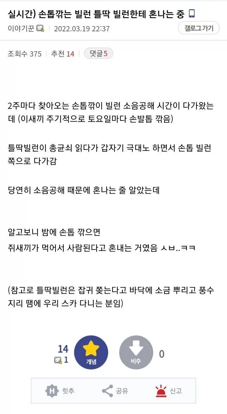 스터디 카페에서 손톱 깎다 혼난 이유.jpg_1.webp