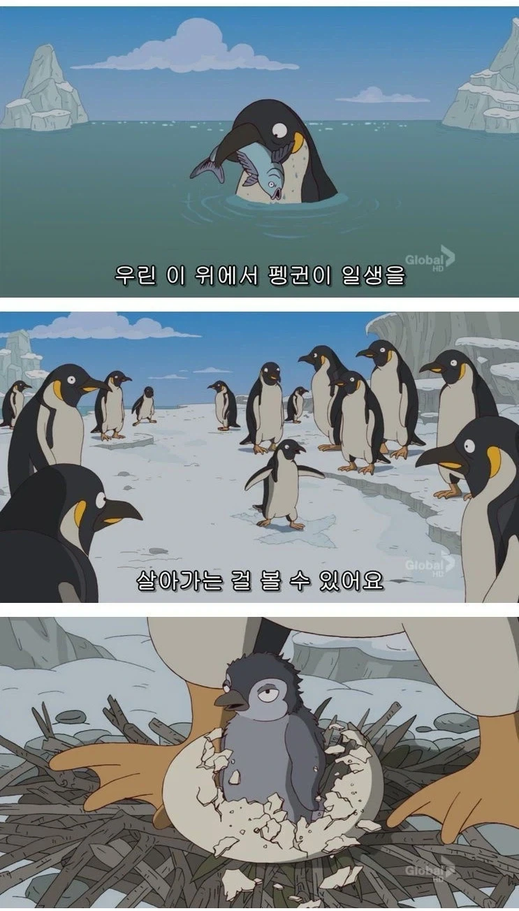나이들면서 공감이 커지는 짤_1.webp