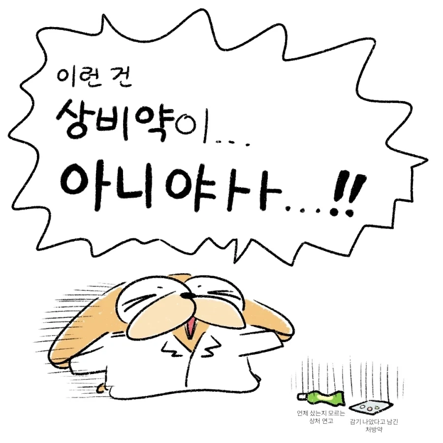 동공이약사가 보고 뒷목잡은 상비약_3.webp