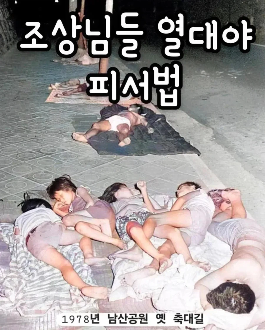 조상님들이 열대야 피서 극복한 방법...jpg_1.webp