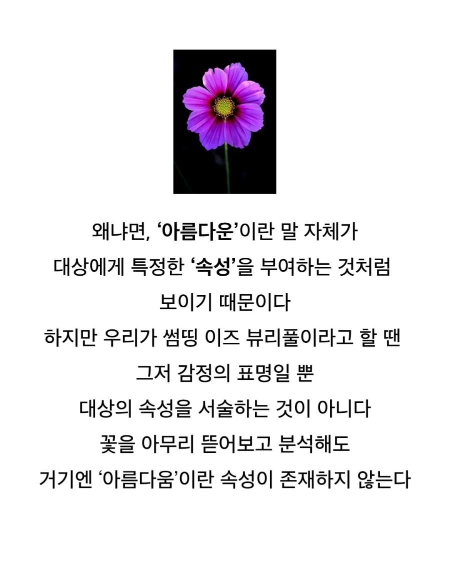 사람들이 평론가의 평점에 화를 내는 이유.jpg_7.webp