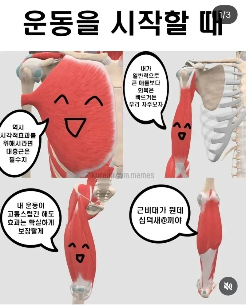 운동에 비협조적인 근육_1.webp