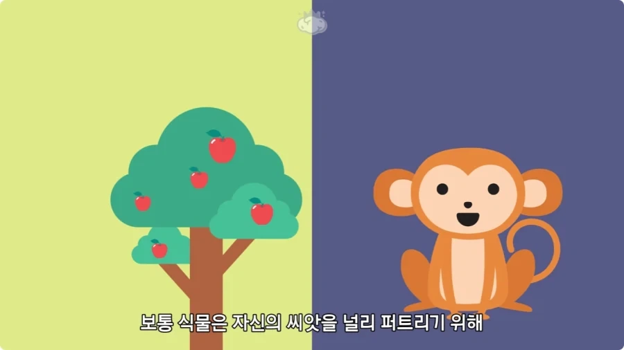 아마존에서 자라는 나무.jpg_9.webp