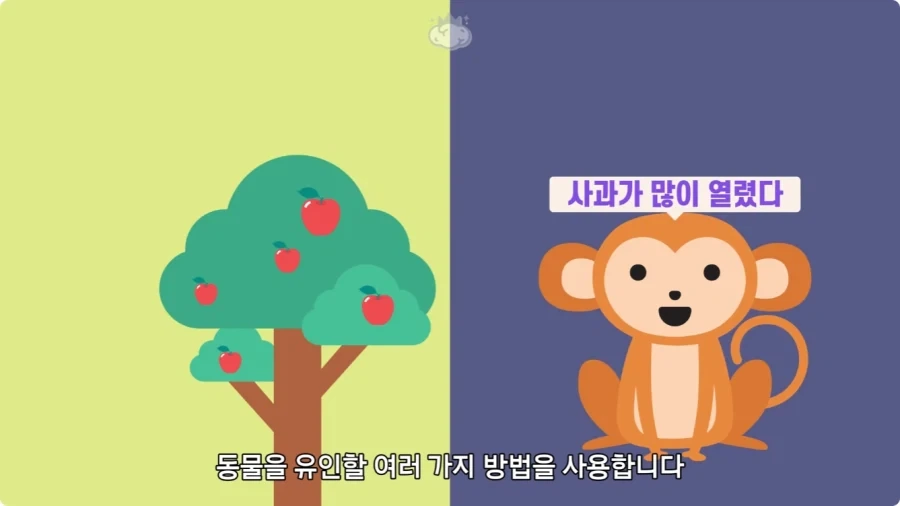 아마존에서 자라는 나무.jpg_10.webp