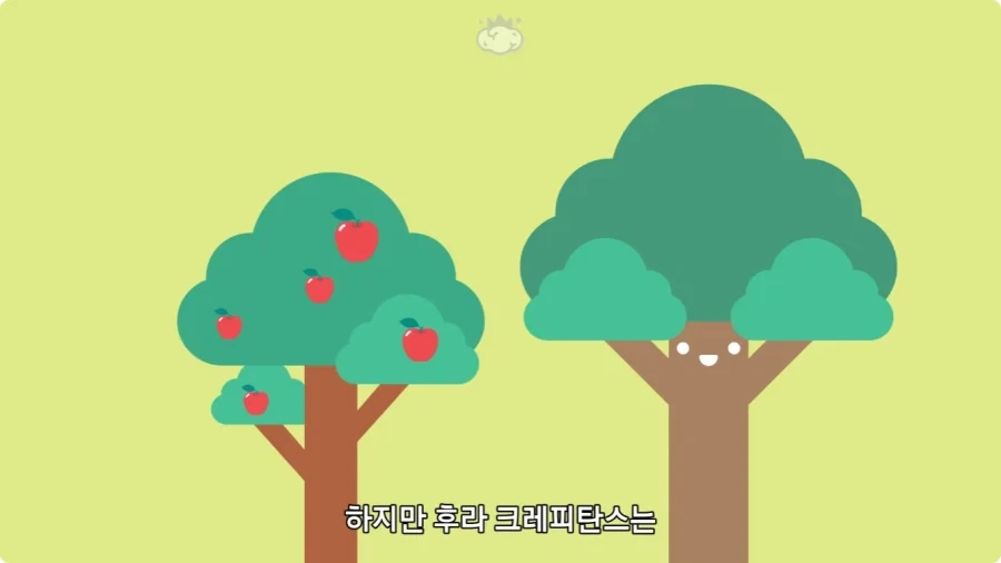 아마존에서 자라는 나무.jpg_11.webp