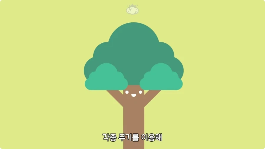 아마존에서 자라는 나무.jpg_12.webp