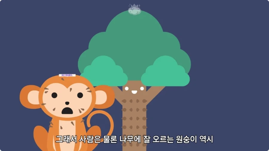 아마존에서 자라는 나무.jpg_16.webp