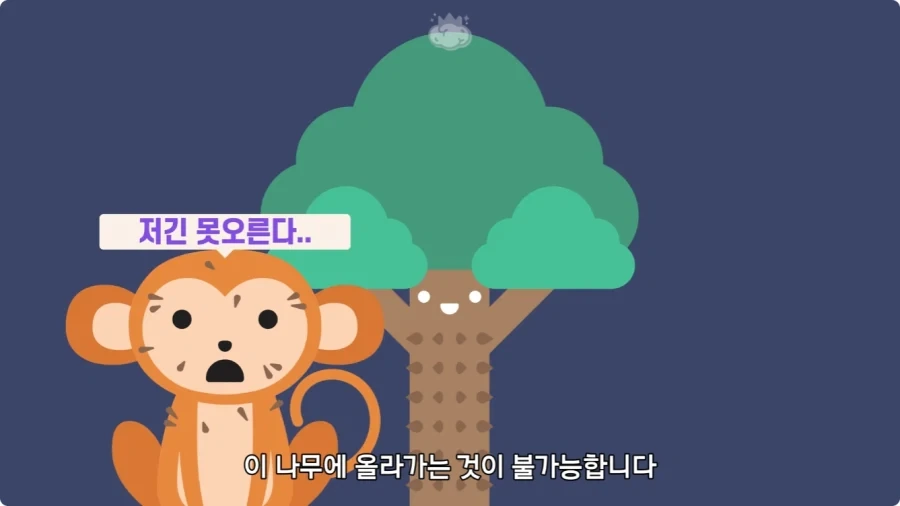 아마존에서 자라는 나무.jpg_17.webp