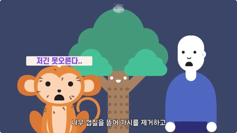 아마존에서 자라는 나무.jpg_18.webp