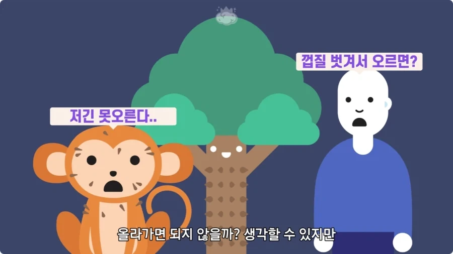아마존에서 자라는 나무.jpg_19.webp