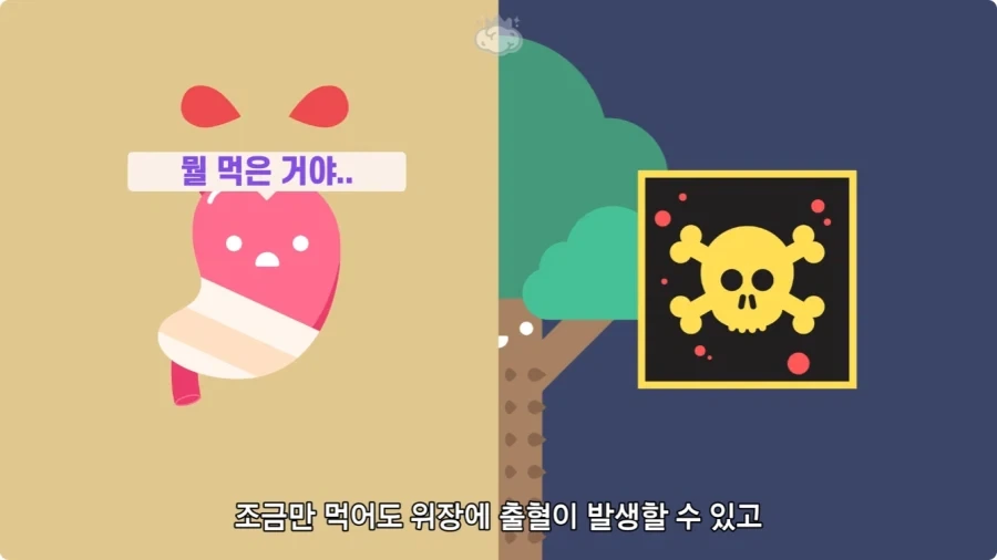 아마존에서 자라는 나무.jpg_23.webp
