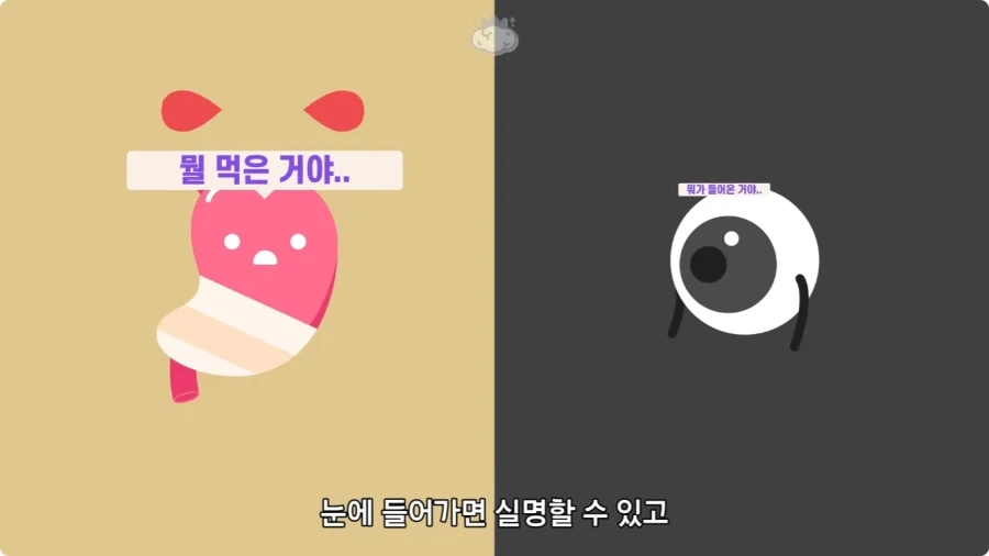 아마존에서 자라는 나무.jpg_24.webp