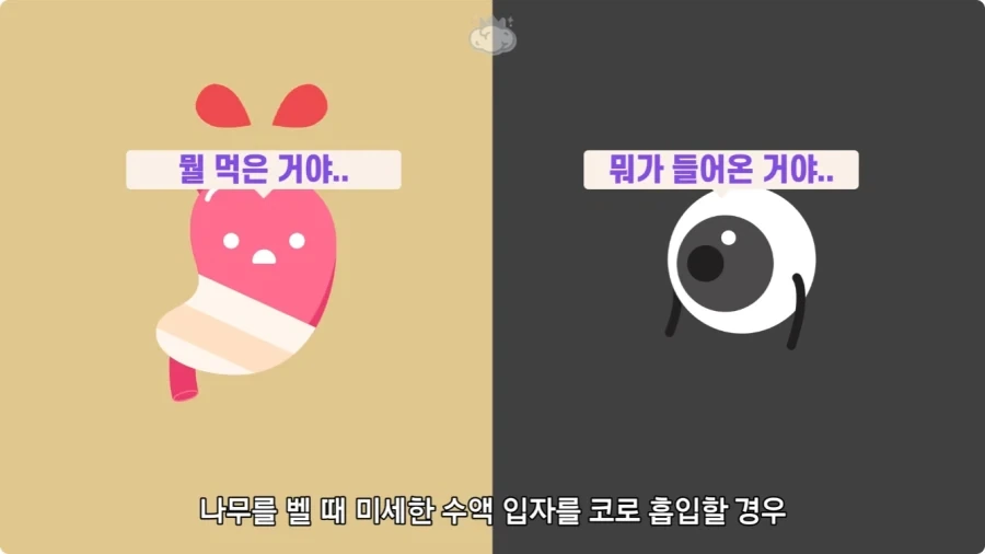 아마존에서 자라는 나무.jpg_25.webp