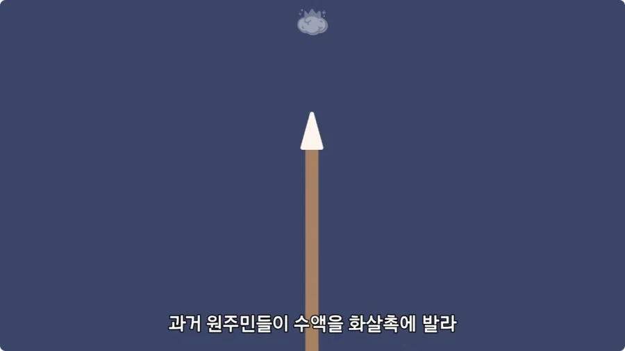 아마존에서 자라는 나무.jpg_27.webp