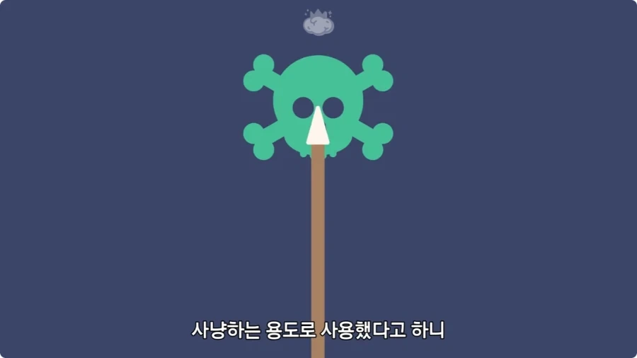 아마존에서 자라는 나무.jpg_28.webp