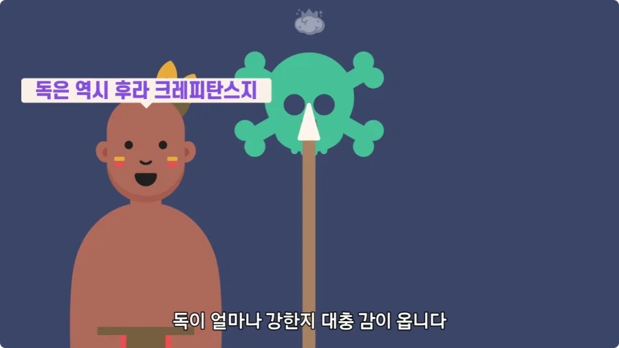 아마존에서 자라는 나무.jpg_29.webp