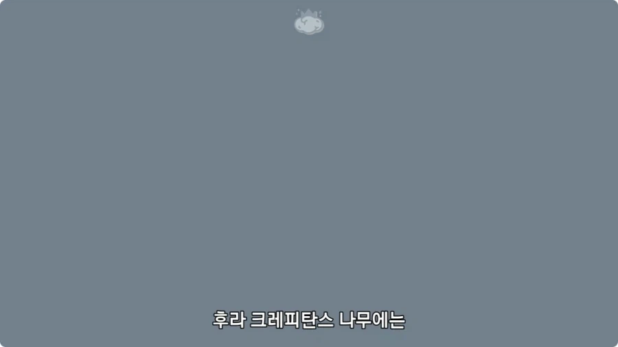 아마존에서 자라는 나무.jpg_30.webp