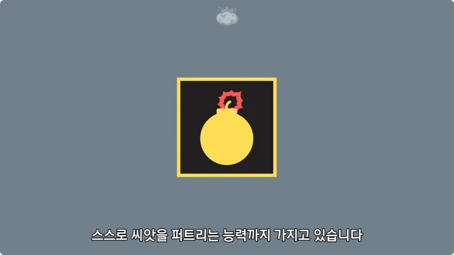 아마존에서 자라는 나무.jpg_35.webp