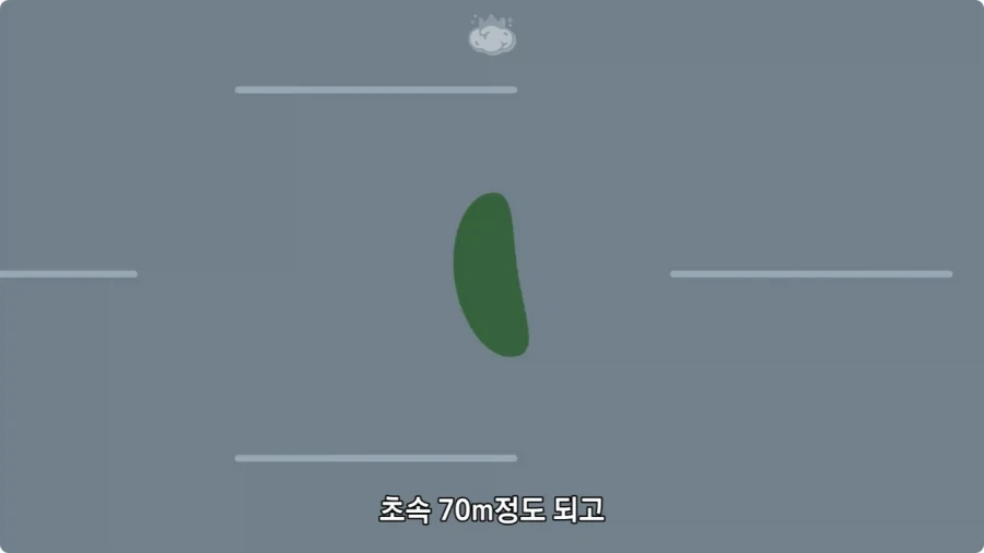 아마존에서 자라는 나무.jpg_39.webp