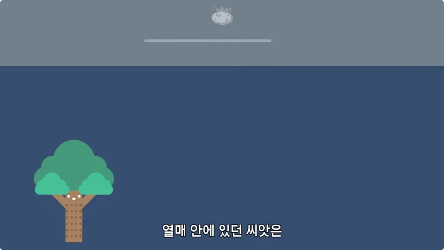 아마존에서 자라는 나무.jpg_40.webp