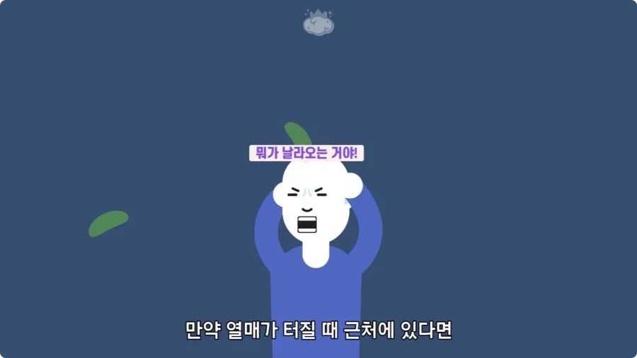 아마존에서 자라는 나무.jpg_43.webp