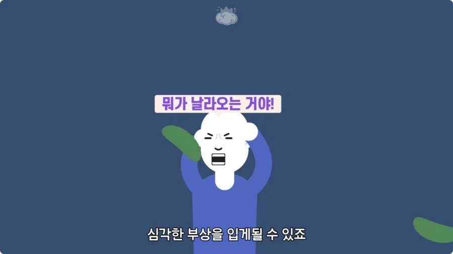 아마존에서 자라는 나무.jpg_44.webp