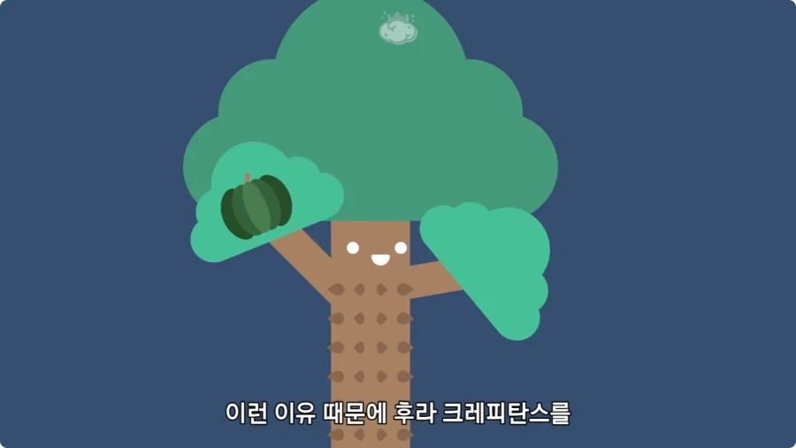 아마존에서 자라는 나무.jpg_45.webp