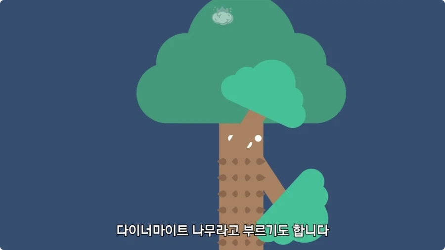 아마존에서 자라는 나무.jpg_46.webp
