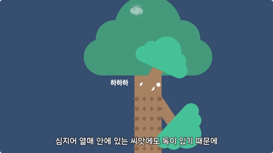 아마존에서 자라는 나무.jpg_47.webp