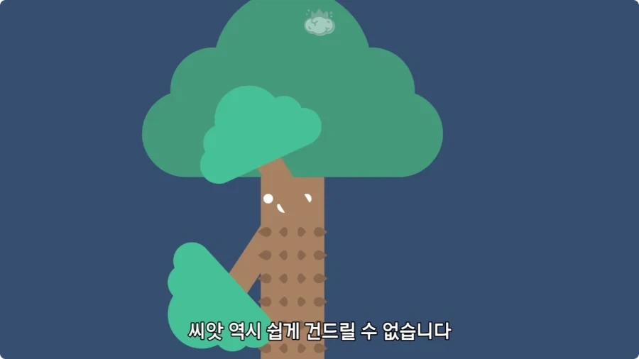 아마존에서 자라는 나무.jpg_48.webp