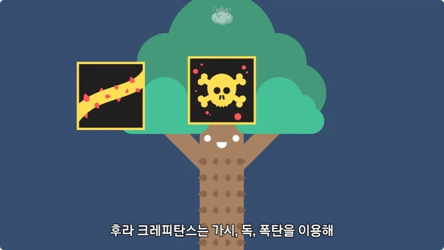 아마존에서 자라는 나무.jpg_49.webp