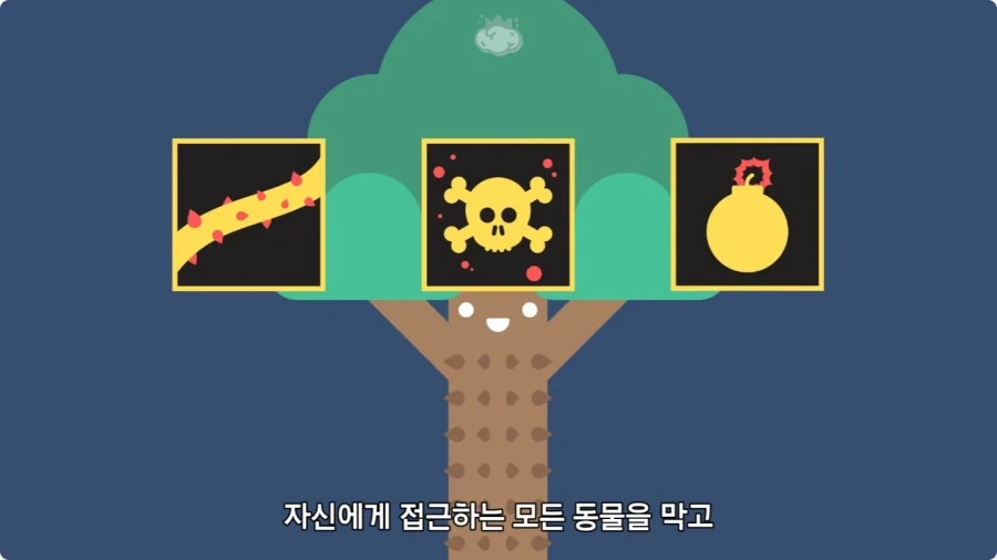 아마존에서 자라는 나무.jpg_50.webp