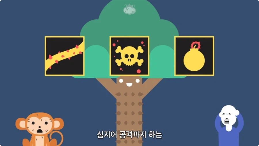 아마존에서 자라는 나무.jpg_51.webp