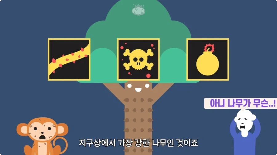 아마존에서 자라는 나무.jpg_52.webp