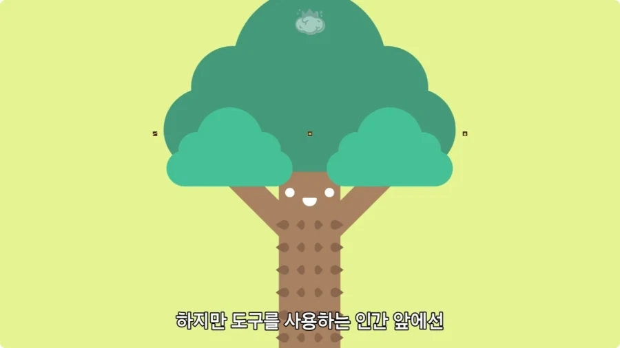 아마존에서 자라는 나무.jpg_53.webp