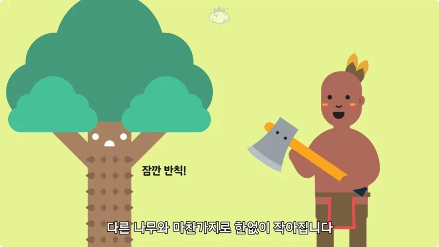 아마존에서 자라는 나무.jpg_54.webp