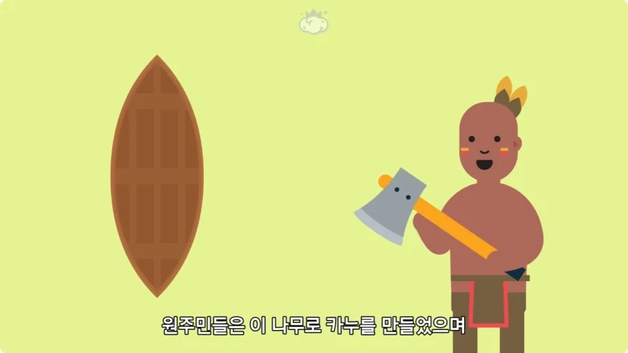 아마존에서 자라는 나무.jpg_56.webp