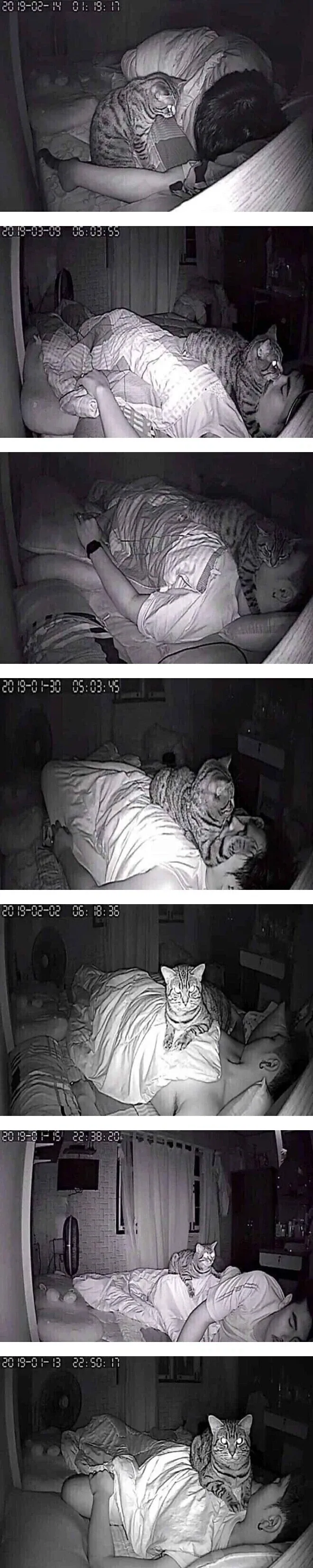 수면 무호흡증 때문에 CCTV를 설치했는데_1.webp