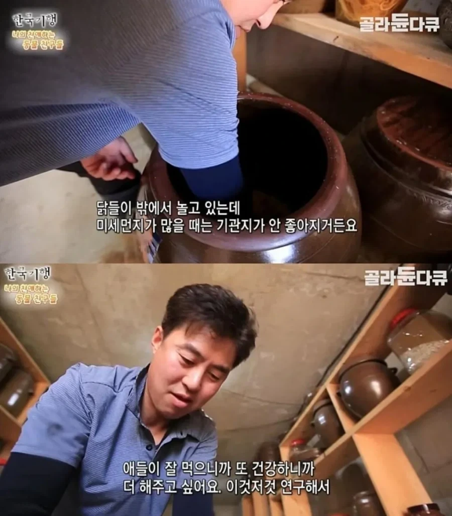 백숙집 차리려고 닭 키우기 시작한 부부의 최후_10.webp