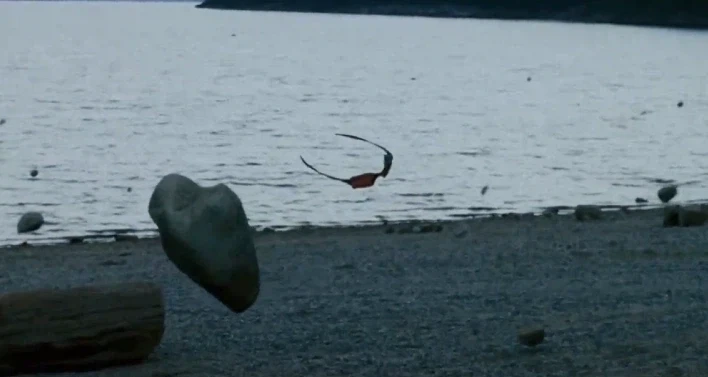 MCU)