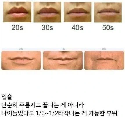 나이 먹을수록 줄어드는 신체 부위_1.webp