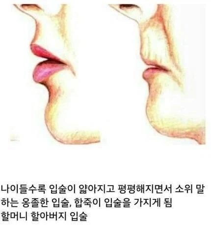 나이 먹을수록 줄어드는 신체 부위_3.webp