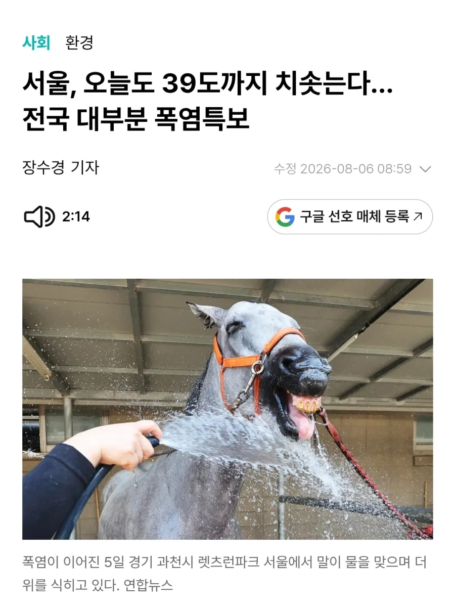 폭염 기사 보다가 피식함 ㅋㅋㅋ_1.webp