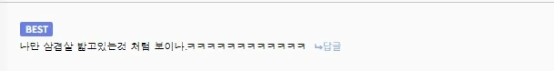 이상하다 처음엔 꽃잎이겠거니 했는데.._3.webp