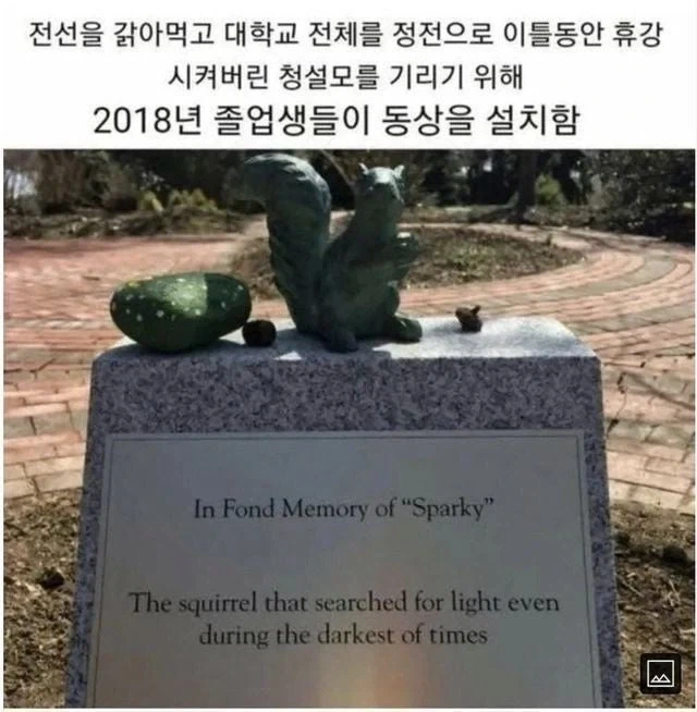 영웅이 된 청솔모 썬더_1.webp