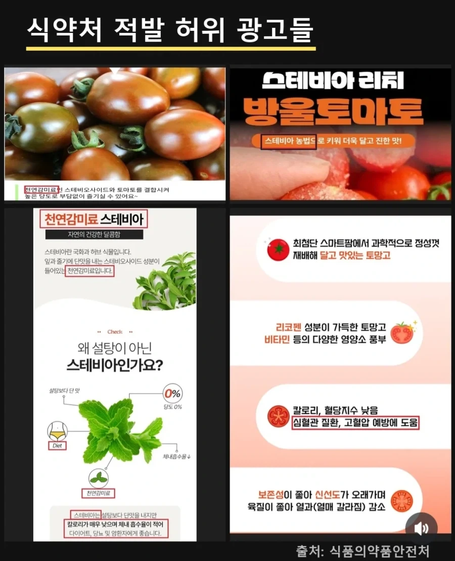 스테비아 토마토의 냉혹한 진실.jpg_2.webp